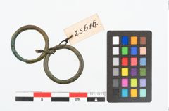 Foto von Bronzering (NHMW-PRAE-025616)
